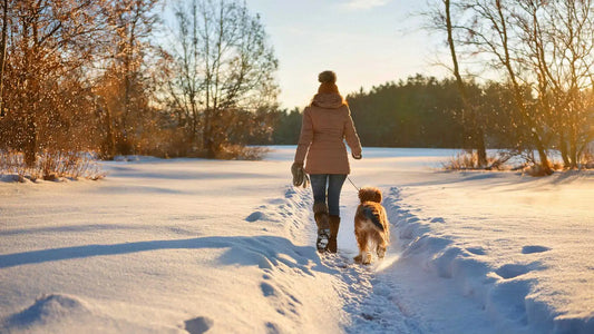 Hallux Valgus im Winter: So findest du bequeme, druckfreie Schuhe mit weiter Zehenbox und weichen Materialien für schmerzfreies Gehen.